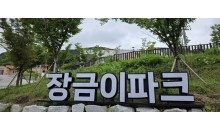 [국악와인열차] 6월 3,7일 정읍사공원 아양사랑숲 / 담양 죽화경 데이지