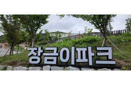 [국악와인열차] 6월 3,7일 정읍사공원 아양사랑숲 / 담양 죽화경 데이지