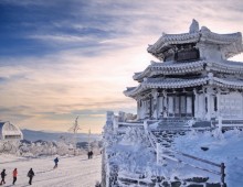 [KTX] 무주 덕유산 곤도라&영동 와인터널 하루 기차여행(부산출발)