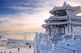 [KTX] 무주 덕유산 곤도라&영동 와인터널 하루 기차여행(부산출발)