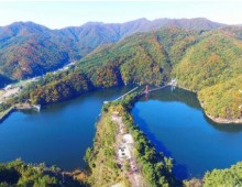 [수서역 출발] KTX - 세계유산 산사!! 마곡사 가을단풍 & 청양 출렁다리 & 고운식물원 여행 (당일)