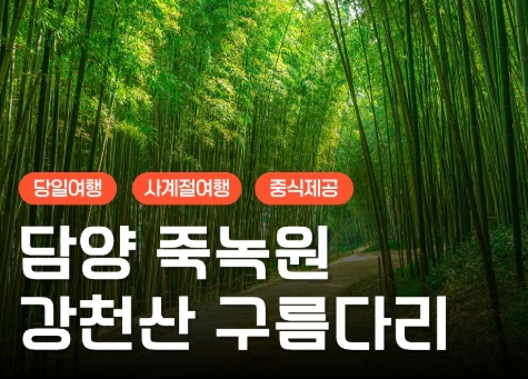 [수서역 출발] KTX - 강천산 구름다리 가을단풍 & 담양죽녹원 & 메타세콰이어 여행(당일)