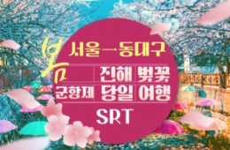 SRT - 환상의 진해벚꽃 & 군항제 여행 (당일) - 왕복 동대구역