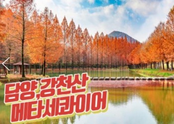 [수서역 출발] KTX - 강천산 구름다리 가을단풍 & 담양죽녹원 & 메타세콰이어 여행(당일)