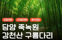 [수서역 출발] KTX - 강천산 구름다리 가을단풍 & 담양죽녹원 & 메타세콰이어 여행(당일)