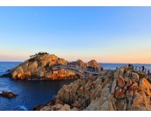 [수서출발] 울산&부산 *거제 외도 꽉찬 1박2일(가이드동행)