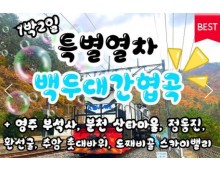 [특별열차] 백두대간협곡열차 가을단풍 & 동해산타열차 & 부석사 & 정동진 & 묵호항 여행(1박2일)