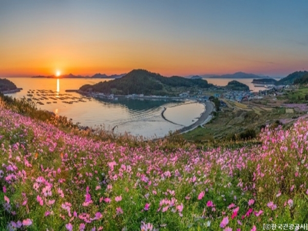 [KTX-용산역/광명역/오송역1박] 청산도/보길도/땅끝마을/완도 여행 (1박2일)