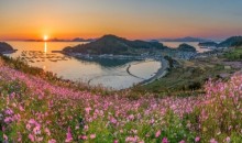 [KTX-용산역/광명역/오송역1박] 청산도/보길도/땅끝마을/완도 여행 (1박2일)