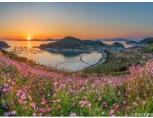 [KTX-용산역/광명역/오송역1박] 청산도/보길도/땅끝마을/완도 여행 (1박2일)