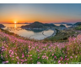 [KTX-용산역/광명역/오송역1박] 청산도/보길도/땅끝마을/완도 여행 (1박2일)