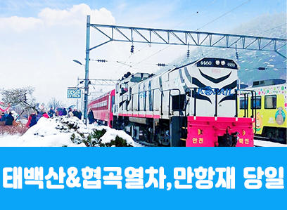 [수도권/경상권출발] ★겨울눈꽃★태백산&협곡열차, 함백산 만항재(당일)
