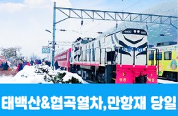 [수도권/경상권출발] ★겨울눈꽃★태백산&협곡열차, 함백산 만항재(당일)