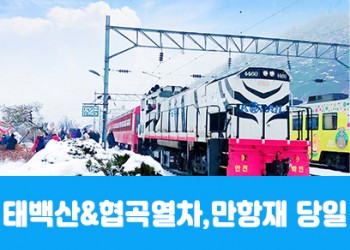 [수도권/경상권출발] ★겨울눈꽃★태백산&협곡열차, 함백산 만항재(당일)