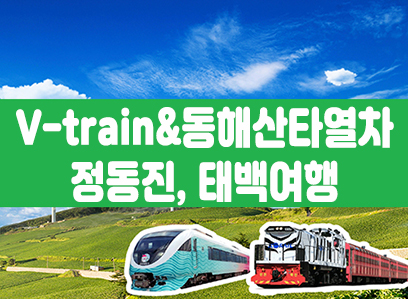 [태백택시투어 1코스] 협곡열차 & 동해산타열차 정동진, 태백투어(당일)