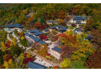 [수도권/충청권/경상권] V-train백두대간협곡열차&부석사&예끼마을 1박2일