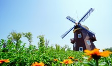 [수원출발] KTX+무궁화호- 전라남도 별미 구석구석 & 담양,보성,남해,여수.순천 여행(2박3일)