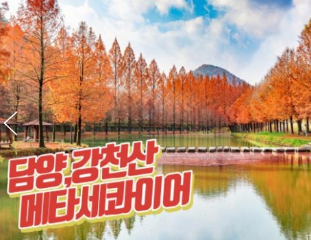 (수원역출발)KTX+새승 - 강천산구름다리 가을단풍 & 담양죽녹원 & 메타세콰이어여행(당일)