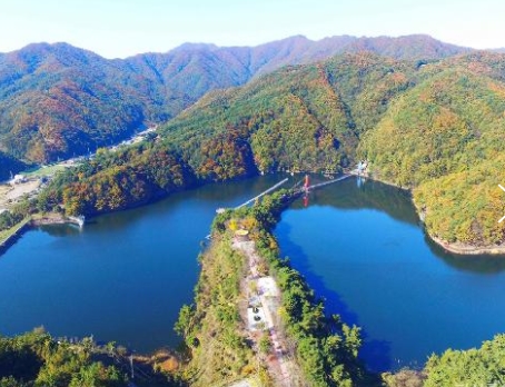 KTX - 세계유산 산사!! 마곡사 가을단풍 & 청양 출렁다리 & 고운식물원 여행 (당일)
