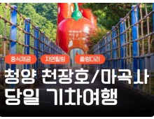KTX - 세계유산 산사!! 마곡사 가을단풍 & 청양 출렁다리 & 고운식물원 여행 (당일)