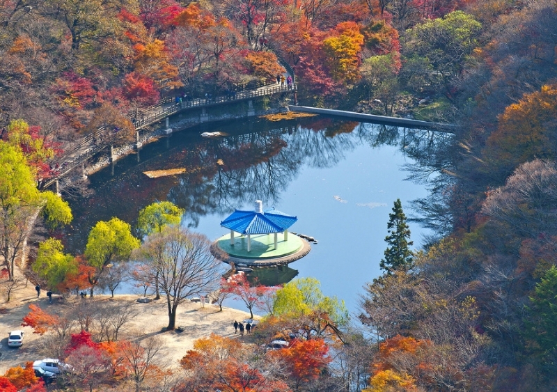 [S-train] 내장산 단풍 기차여행(당일)