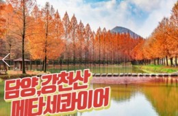 KTX - 강천산 구름다리 가을단풍 & & 담양죽녹원 & 메타세콰이어 여행(당일)