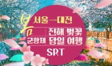 SRT - 환상의 진해벚꽃 & 군항제 여행 (당일) - 왕복 대전역