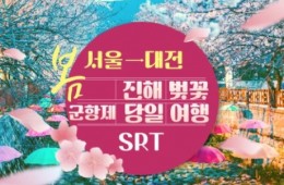 SRT - 환상의 진해벚꽃 & 군항제 여행 (당일) - 왕복 대전역