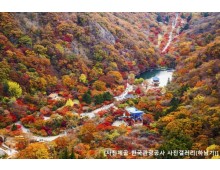 ◆가을맞이◆[KTX](1식포함)조선8경 오색단풍 내장산+익산 미륵사지