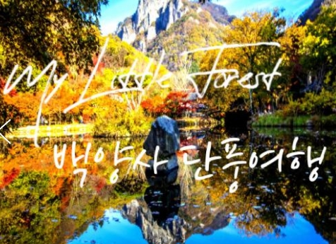(수원역출발)새마을호 - 천년 고찰!! 백양사 애기 가을단풍 여행(당일)