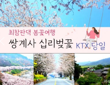 KTX - 환상의 쌍계사 십리벚꽃*화개장터 & 최참판댁 봄꽃여행(당일)