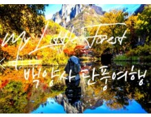 (수원역출발)새마을호 - 천년 고찰!! 백양사 애기 가을단풍 여행(당일)