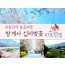 KTX - 환상의 쌍계사 십리벚꽃*화개장터 & 최참판댁 봄꽃여행(당일)