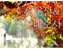 (수원역출발)새마을호 - 고창 선운사 가을단풍 & 부안 내소사 * 전나무 숲길 여행 (당일)
