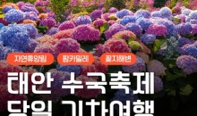 [무궁화호] 2026 태안 수국축제&안면도 자연휴양림&꽃지해변 당일 기차여행 (6/13~7/26)