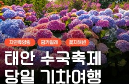 [무궁화호] 2026 태안 수국축제&안면도 자연휴양림&꽃지해변 당일 기차여행 (6/13~7/26)