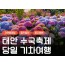 [무궁화호] 2026 태안 수국축제&안면도 자연휴양림&꽃지해변 당일 기차여행 (6/13~7/26)