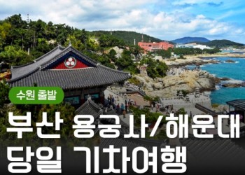 (수원출발)KTX - 부산시티투어(2탄) - 해운대 해변열차 & 용궁사 & 자갈치시장 여행(당일)