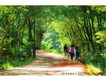 ◆가을맞이◆[ITX-당일]*중식제공*대전 계족산 황토길 맨발걷기+국립세종수목원