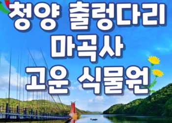 [KTX] 청양호 출렁다리 & 공주마곡사 당일여행-중식제공