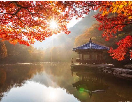 [수원역출발]새마을 - 가을여행의 1번지!! 내장산(내장사)가을단풍 여행(당일)-07:03