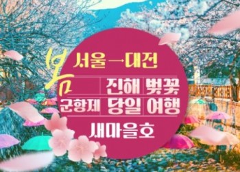 (수원역출발) ITX-새마을 - 환상의 진해벚꽃 & 군항제 여행 (당일) - 왕복 대전역