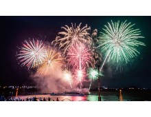 [국악와인열차] 6월 27~28일 보성+해남 수국축제 / 목포 크루즈 선상 불꽃쇼