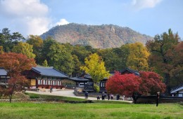 [국악와인열차/1박2일] 11월 7~8일 울진덕구온천 / 불영사 단풍 / 죽변항 수산물축제