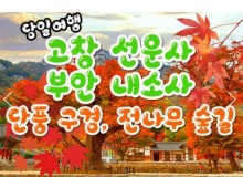 [수서역 출발] KTX - 고창 선운사 가을단풍 & 부안 내소사 * 전나무 숲길 여행 (당일)