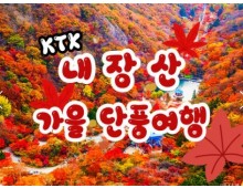[수서역출발] KTX - 가을여행의 1번지!! 내장산(내장사)가을단풍 여행 (당일)-08:30