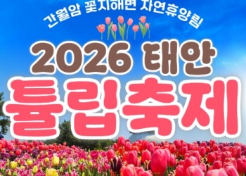 무궁화호 - 태안 세계튤립꽃박람회 & 간월도 & 안면도 봄꽃여행 (당일)