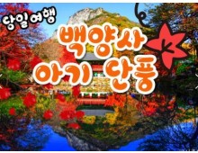 [수서역 출발] KTX - 천년 고찰!! 백양사 애기 가을단풍 여행(당일)