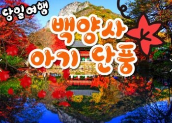 [수서역 출발] KTX - 천년 고찰!! 백양사 애기 가을단풍 여행(당일)