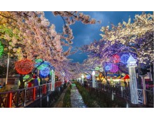 KTX- 진해군항제 기차여행(당일)-08:23 출발